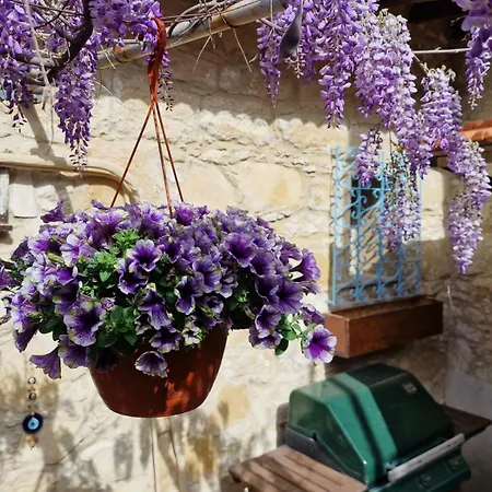 Daire Kalimera A Lovely 1-bedroom With Ensuite And Kitchen
